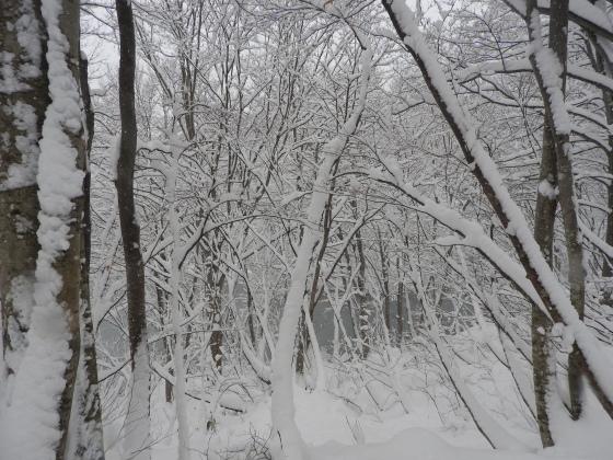f0118332_00305312.jpg