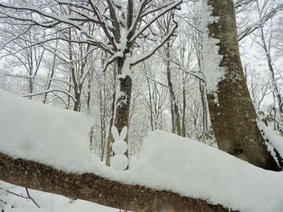 f0118332_00312517.jpg