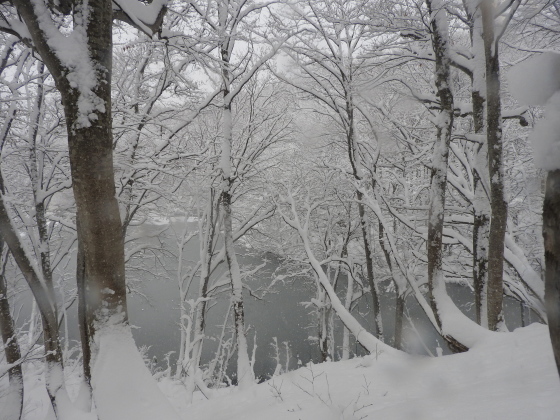 f0118332_00315289.jpg