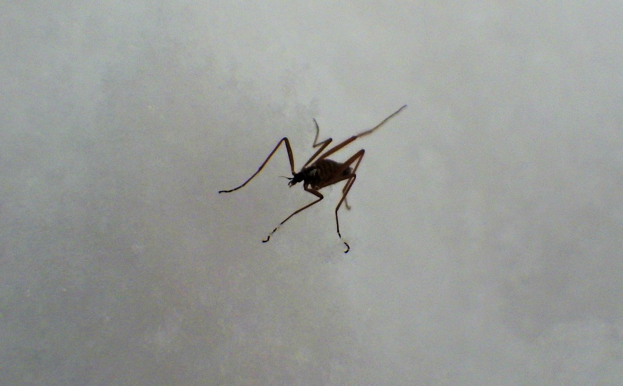 f0118332_00321933.jpg