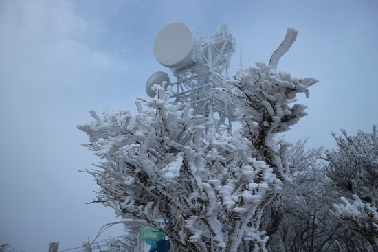 鶴見岳の霧氷に大感動！_e0272335_16105618.jpg