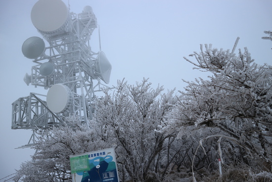 鶴見岳の霧氷に大感動！_e0272335_17565282.jpg