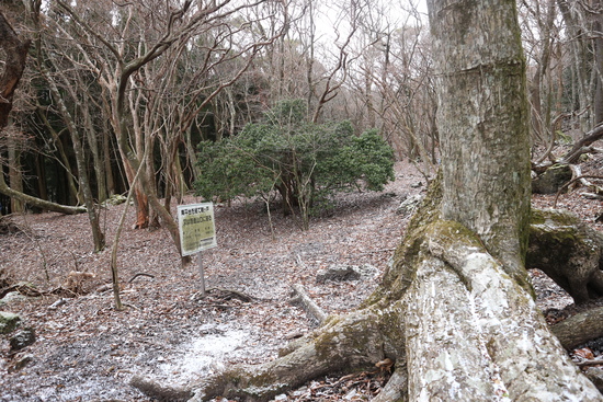 鶴見岳の霧氷に大感動！_e0272335_18522176.jpg