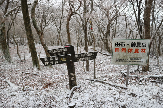 鶴見岳の霧氷に大感動！_e0272335_189298.jpg