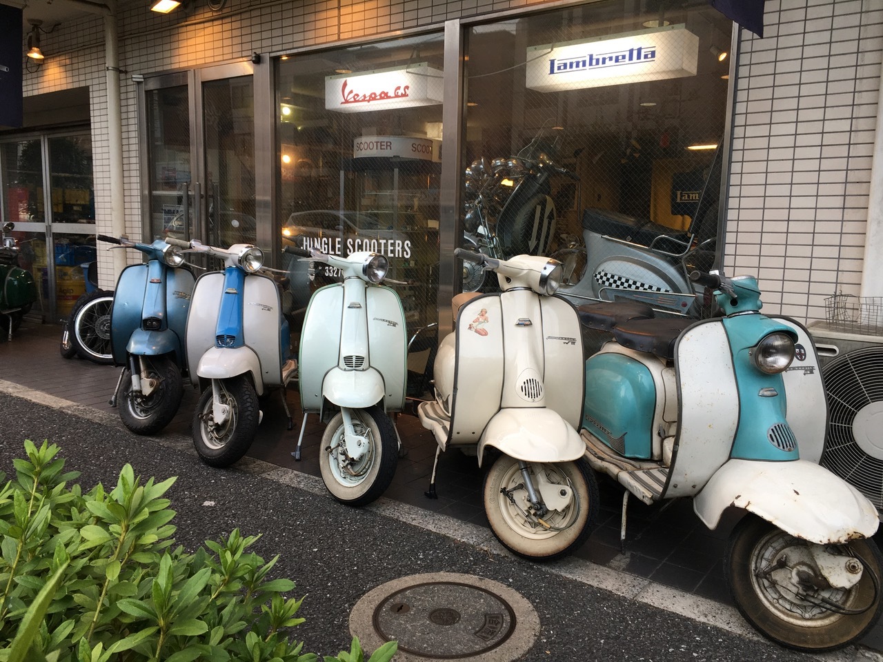 f0123137_15482622.jpeg