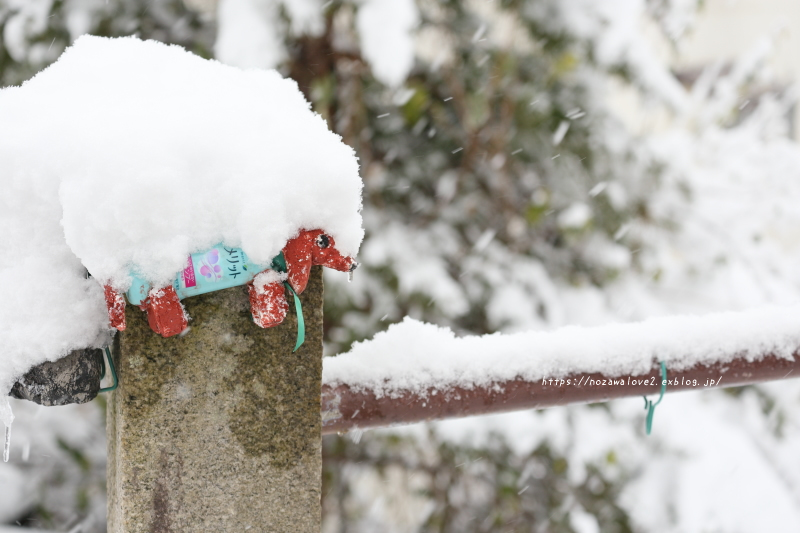 野沢温泉村　雪が積もりました。_b0404739_19452935.jpg