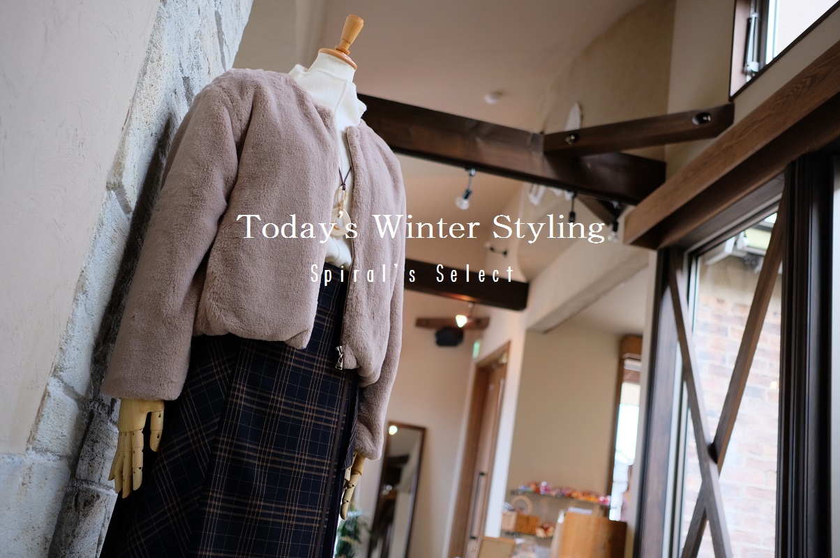 ”Today\'s Winter Styling...12/9sun\"_d0153941_16261370.jpg