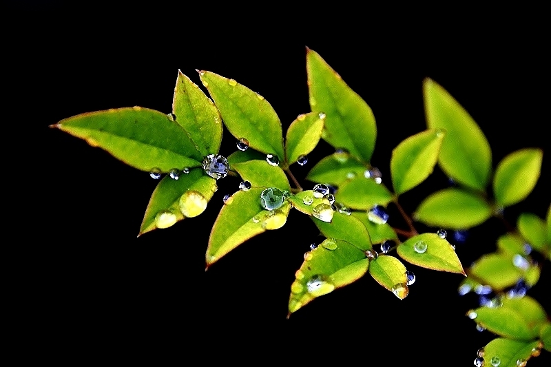 b0314043_17065857.jpg