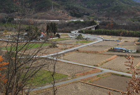 e0172950_20365562.jpg