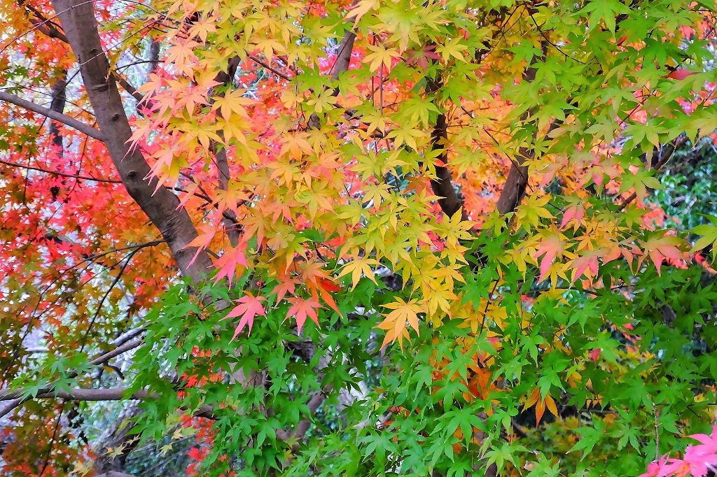 b0236251_11295321.jpg