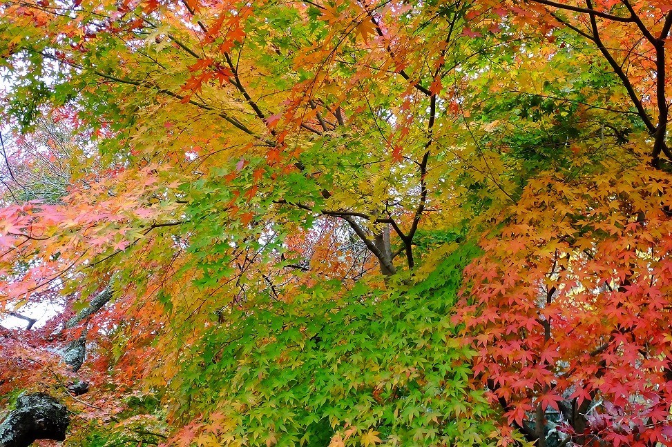 b0236251_11295802.jpg