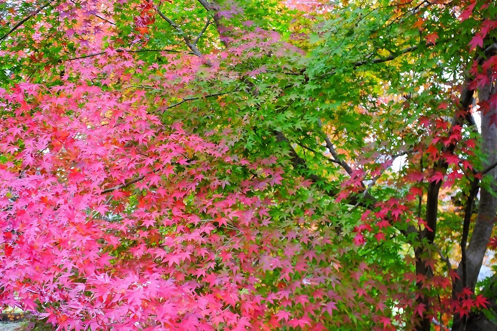 b0236251_11300632.jpg
