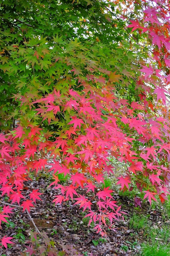 b0236251_11301016.jpg