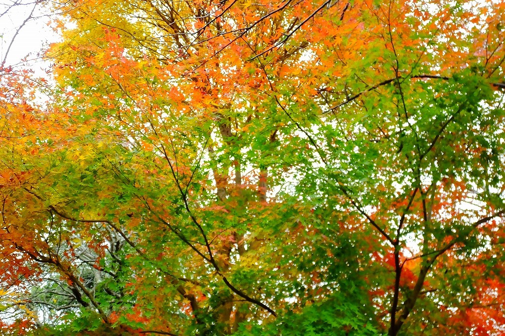 b0236251_11324428.jpg