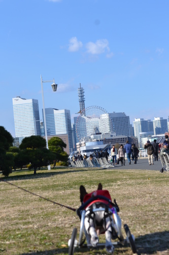 b0307951_23271788.jpg