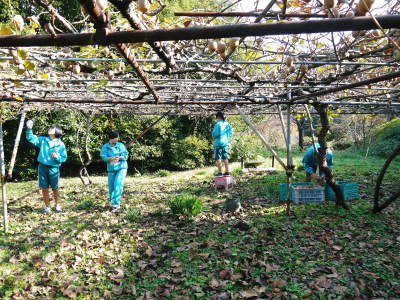 熊本県立菊池高等学校の生徒さんたちが研修にやってきました!(2018/前編)_a0254656_18391091.jpg