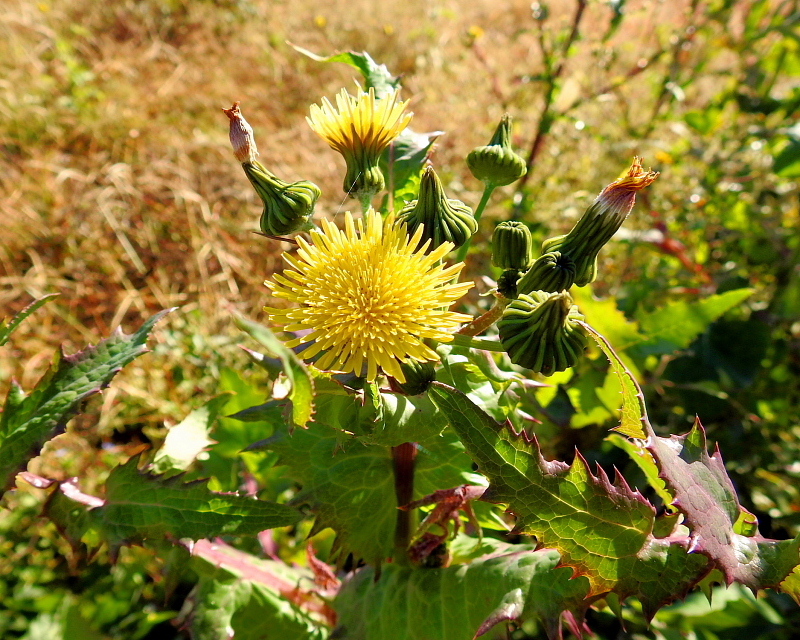 c0305565_17414770.jpg
