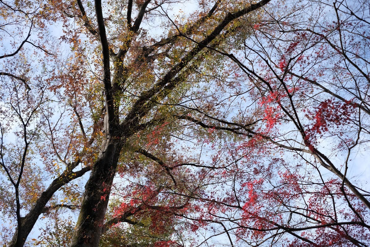 c0084666_22445081.jpg