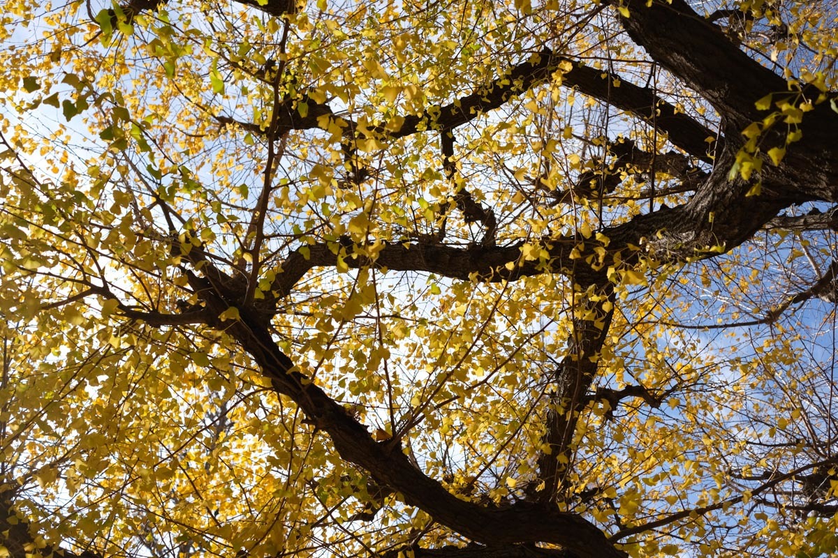 c0084666_22445112.jpg