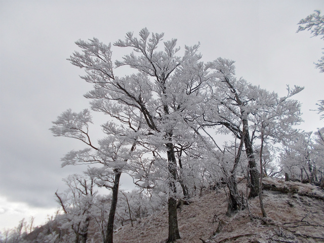 2018.12.9　雲早山_c0219866_18093264.jpg