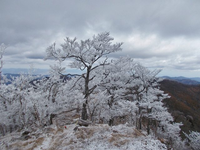 2018.12.9　雲早山_c0219866_18114365.jpg