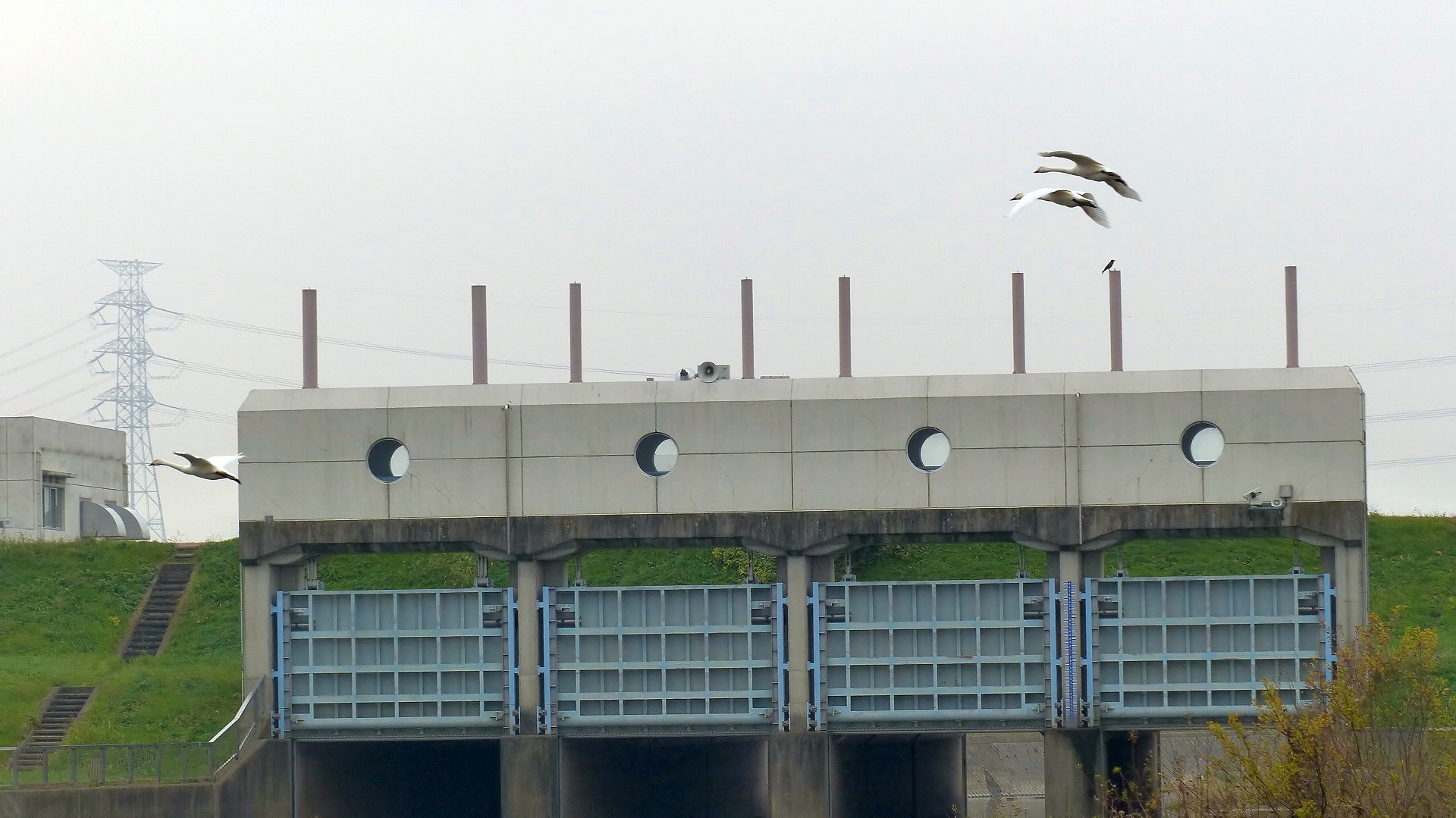a0185081_10084792.jpg