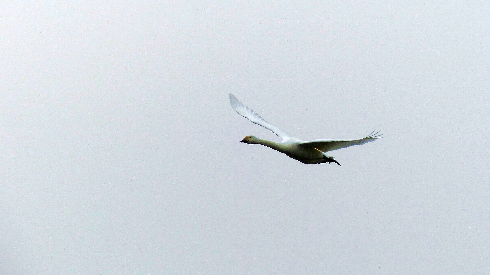a0185081_10134175.jpg