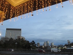 a0142083_21195090.jpg