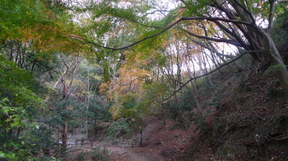 c0212083_17305346.jpg