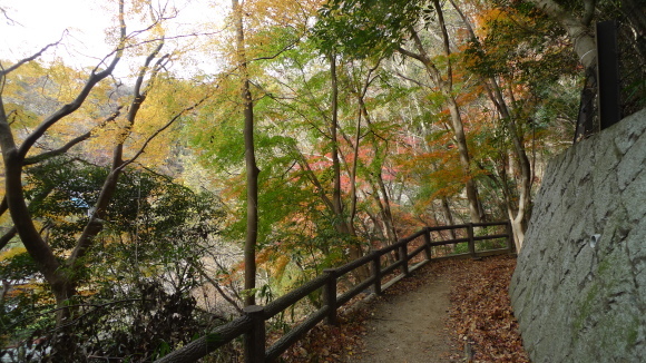 c0212083_17314403.jpg