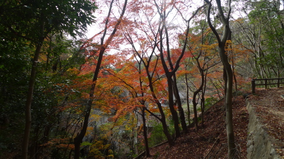 c0212083_17320351.jpg