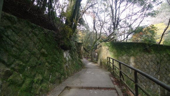 c0212083_17324777.jpg