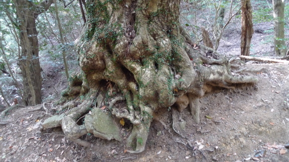 c0212083_17354771.jpg