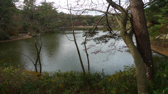 c0212083_17362073.jpg