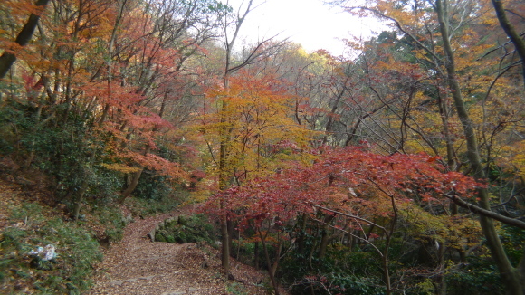 c0212083_17363397.jpg