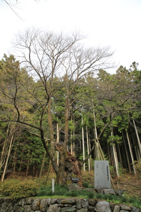 c0358784_23254436.jpg