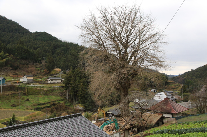 c0358784_23272964.jpg