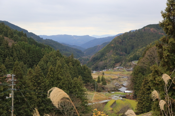 c0358784_23280771.jpg