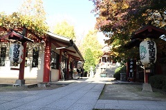 d0183387_16080763.jpg