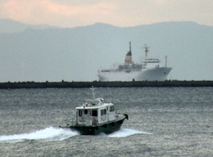b0192588_8222836.jpg