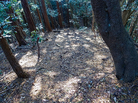 e0176993_14404622.jpg