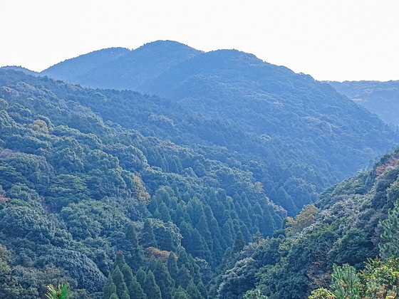 e0176993_14404669.jpg