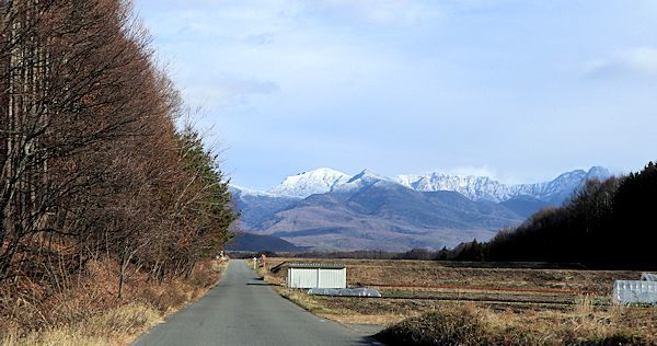 山は雪なのにね。_c0090198_15580022.jpg