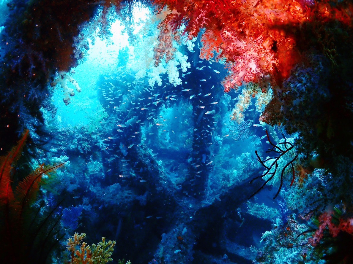 e0115199_16173072.jpg