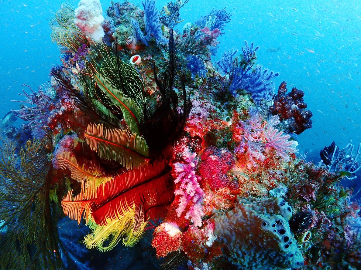 e0115199_16174955.jpg
