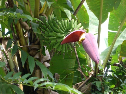 a0057402_06294443.jpg