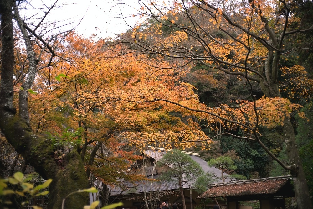 d0376905_14031337.jpg