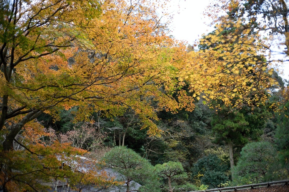 d0376905_14052125.jpg