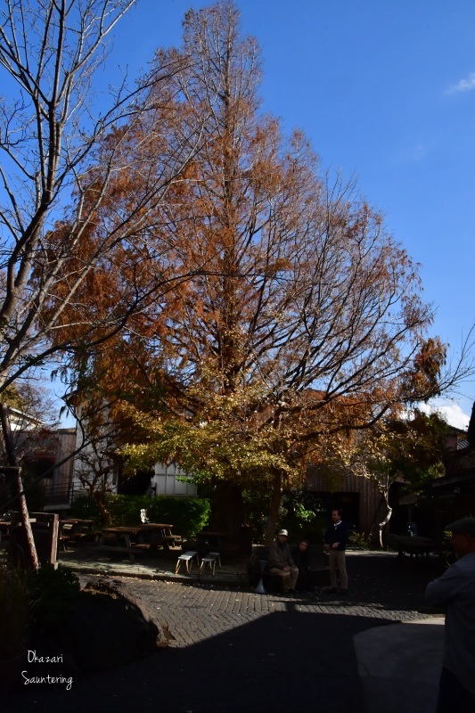 b0223512_21491636.jpg