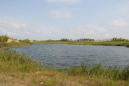 a0151913_2282242.jpg